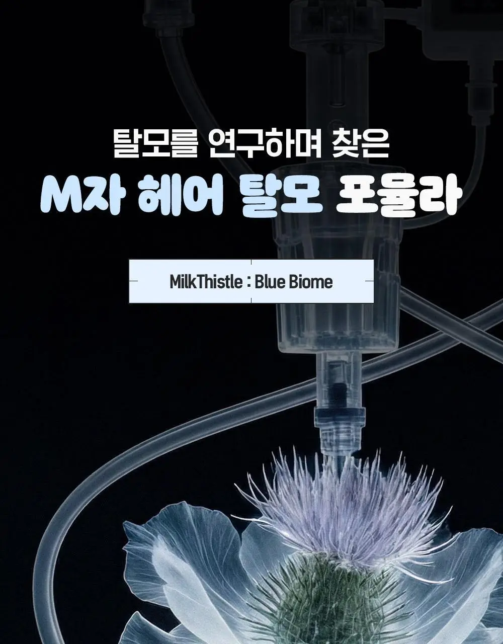 [포켓몬 에디션]다슈 데일리 밀크씨슬 블루바이옴 스칼프 샴푸 500ml(+피카츄 샴푸브러쉬) 상세페이지 22